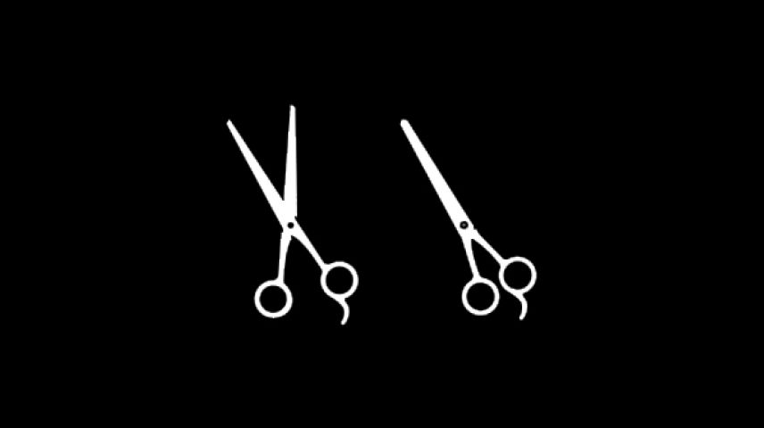 Akito Scissors